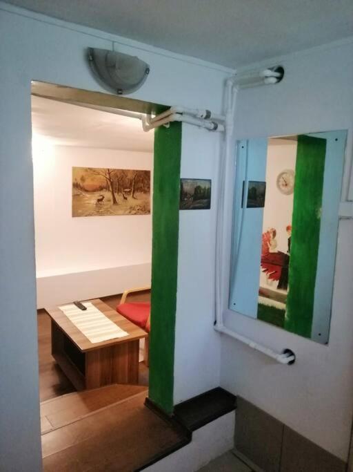 Moss'S Cave Apartment Timisoara Luaran gambar