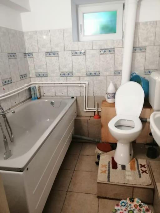 Moss'S Cave Apartment Timisoara Luaran gambar